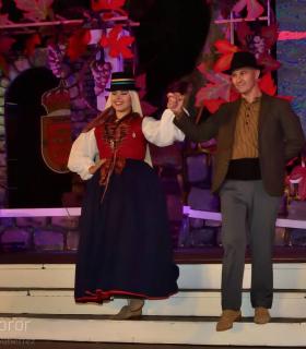 Gala Eleccion de la Reina de la Vendimia 2019. Tacoronte · foto 61