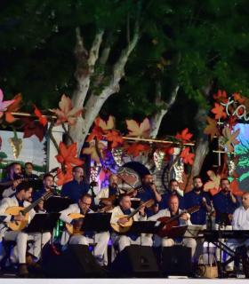 Gala Eleccion de la Reina de la Vendimia 2019. Tacoronte · foto 85