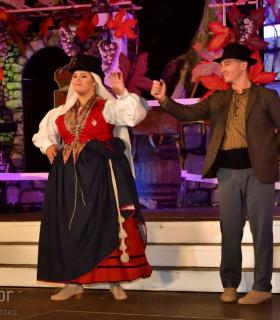 Gala Eleccion de la Reina de la Vendimia 2019. Tacoronte · foto 77