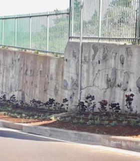 El Sauzal: nuevo jardín en el callejón de El Calvario · foto 2