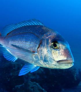 La Gomera premia a las mejores fotos de sus fondos en la nueva estrategia de promoción de turismo activo · foto 1