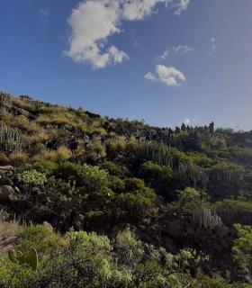 Ruta por el Camino Viejo de Candelaria · foto 1