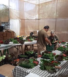 Tegueste reparte diez toneladas de fruta y verdura entre 124 familias del municipio durante 2019 · foto 4