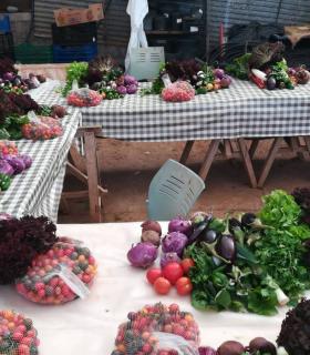 Tegueste reparte diez toneladas de fruta y verdura entre 124 familias del municipio durante 2019 · foto 7
