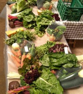 Tegueste reparte diez toneladas de fruta y verdura entre 124 familias del municipio durante 2019 · foto 1