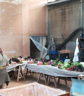 Tegueste reparte diez toneladas de fruta y verdura entre 124 familias del municipio durante 2019 · foto 6