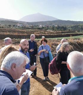 14 expertos internacionales en plagas agrícolas investigan en Los Realejos el control de la polilla de la papa · foto 1
