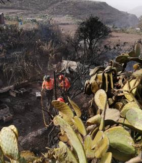 Telde se suma al dispositivo que lucha contra el incendio de Tasarte · foto 1