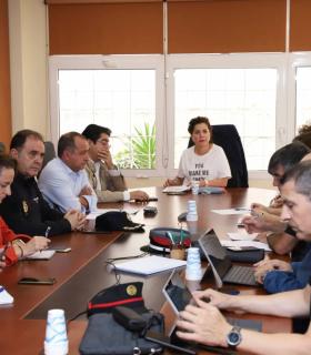 Ángel Víctor Torres y Teresa Cruz presiden la reunión del Comité Ejecutivo para abordar la situación del coronavirus en el sur de Tenerife · foto 3