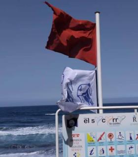 Los Realejos cierra al baño la Playa del Socorro por presencia de medusas y mal estado de la mar · foto 2
