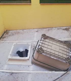 Los Realejos cuantifica elevados daños en instalaciones públicas y en zonas de cultivos · foto 7