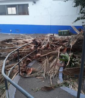 Los Realejos cuantifica elevados daños en instalaciones públicas y en zonas de cultivos · foto 17