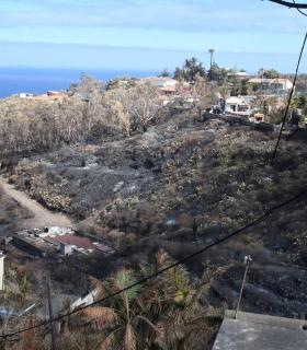 El Ayuntamiento de Santa Úrsula aprueba solicitar la declaración del municipio como zona catastrófica · foto 4