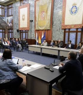 Martín, presidente del Cabildo de Tenerife, reúne a los ayuntamientos para informar de las medidas de contención del Covid-19 · foto 2