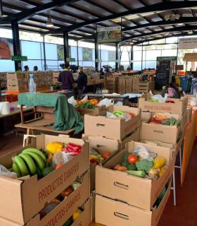 El Mercadillo del Agricultor de La Orotava ofrece servicio a domicilio en la comarca · foto 7