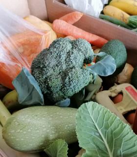 El Mercadillo del Agricultor de La Orotava ofrece servicio a domicilio en la comarca · foto 1