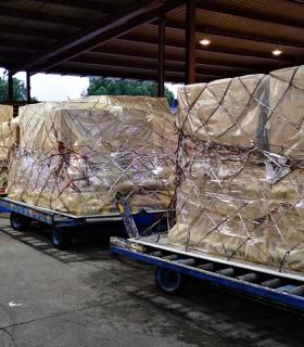Llegan dos nuevos cargamentos adquiridos directamente por el Gobierno de Canarias con 58.200 kits para diagnóstico y 1,5 millones de mascarillas · foto 1