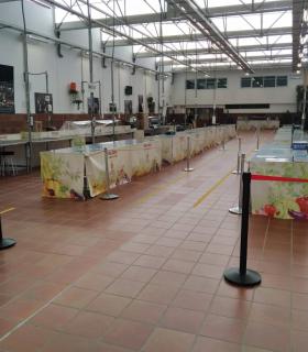 El Mercado del Agricultor de Arona abre este sábado con nuevas medidas de seguridad · foto 1