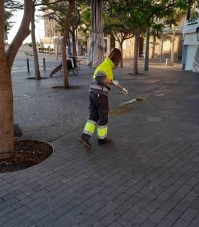 El Ayuntamiento de Santa Cruz de Tenerife reorganiza los servicios públicos para adaptarlos al estado de alarma · foto 4