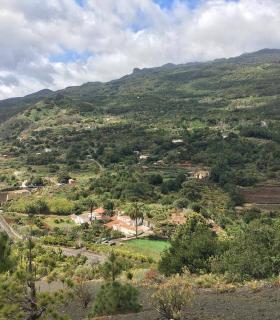 El Cabildo de La Palma anima a la población a limpiar y despejar de maleza el entorno de las casas para prevenir los incendios forestales · foto 1