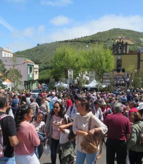 El Ayuntamiento de Santa María de Guía suspende la celebración de la Fiesta del Queso · foto 4