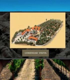 El sector del vino y del enoturismo será clave en la recuperación económica · foto 2