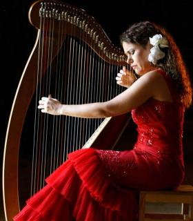 El arpa se hace flamenca. Ana Crisman · foto 1