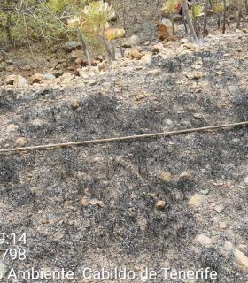 Efectivos de BRIFOR intervienen en dos incendios en zonas rurales · foto 1