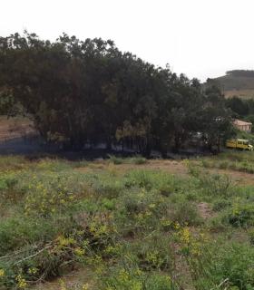 Efectivos de BRIFOR intervienen en dos incendios en zonas rurales · foto 3