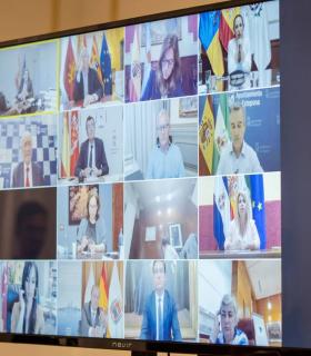 La alcaldesa de Santa Cruz de Tenerife participa en una reunión con el Ministro de Inclusión sobre el Ingreso Mínimo Vital · foto 1