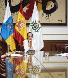 La alcaldesa de Santa Cruz de Tenerife participa en una reunión con el Ministro de Inclusión sobre el Ingreso Mínimo Vital · foto 2
