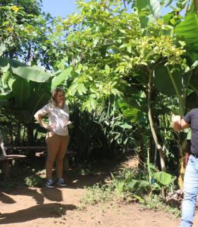El Cabildo y el Gobierno de Canarias apuesta por impulsar la agricultura ecológica en La Palma · foto 2