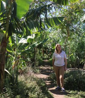El Cabildo y el Gobierno de Canarias apuesta por impulsar la agricultura ecológica en La Palma · foto 1