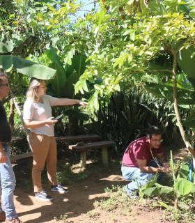 El Cabildo y el Gobierno de Canarias apuesta por impulsar la agricultura ecológica en La Palma · foto 3