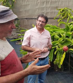 José Adrián Hernández: “La pitaya puede ser un cultivo que diversifique la oferta del sector primario insular” · foto 1