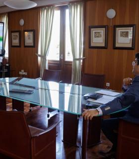 Martín traslada a Reino Unido e Irlanda la seguridad sanitaria de Tenerife y de Canarias · foto 2