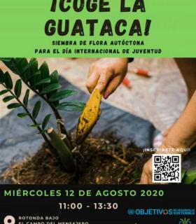 El Cabildo de La Palma celebra el Día Mundial de la Juventud animando a “coger la guataca” · foto 1