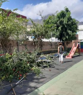 Ayuntamiento y centros educativos coordinan obras de mejora y de adaptación a los protocolos COVID-19 · foto 7
