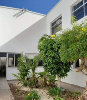 Ayuntamiento y centros educativos coordinan obras de mejora y de adaptación a los protocolos COVID-19 · foto 3