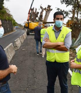 El Cabildo interviene de emergencia en el tramo de la carretera de Mazo afectado por la caída de un eucalipto · foto 2
