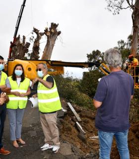 El Cabildo interviene de emergencia en el tramo de la carretera de Mazo afectado por la caída de un eucalipto · foto 1