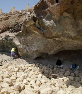 El Cabildo de Tenerife extrae casi veinte toneladas de residuos y desmantela 122 cabañas en La Caleta de Adeje · foto 5