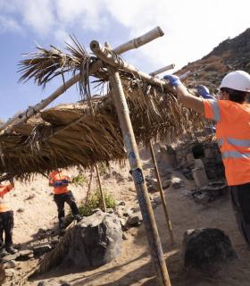 El Cabildo de Tenerife extrae casi veinte toneladas de residuos y desmantela 122 cabañas en La Caleta de Adeje · foto 2