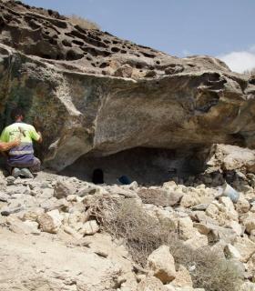 El Cabildo de Tenerife extrae casi veinte toneladas de residuos y desmantela 122 cabañas en La Caleta de Adeje · foto 4