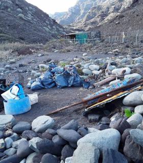 El Cabildo de Tenerife y la Fundación Santa Cruz Sostenible limpian la playa de Tamadite · foto 2