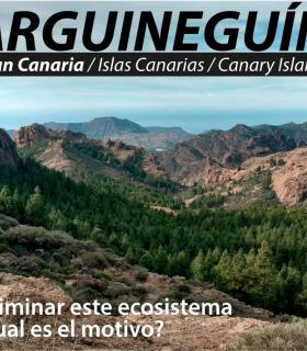Cambiar dinámicas en perspectivas de sostenibilidad verde y real · foto 5