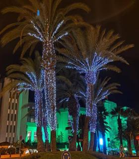 Arona enciende sus luces de Navidad con 1.690 adornos repartidos en 28 barrios del municipio · foto 2