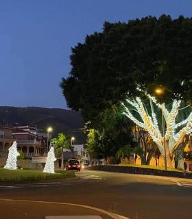 Arona enciende sus luces de Navidad con 1.690 adornos repartidos en 28 barrios del municipio · foto 5