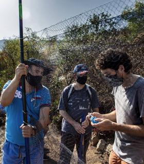El Ayuntamiento de Santa Úrsula recupera el bosque termófilo de La Quinta a través del proyecto insular ‘Ícaro’ · foto 1