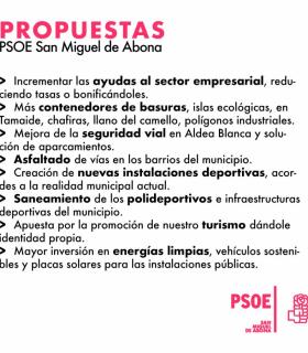 Toñi Cabrera García, Portavoz del PSOE de San Miguel de Abona, "hemos sido el único grupo político de la oposición que ha presentado propuestas para contribuir y mejorar la vida de nuestro pueblo" · foto 1